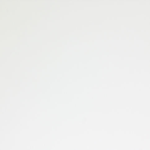 Polygloss White Arctic 040 18mm NIEMANN