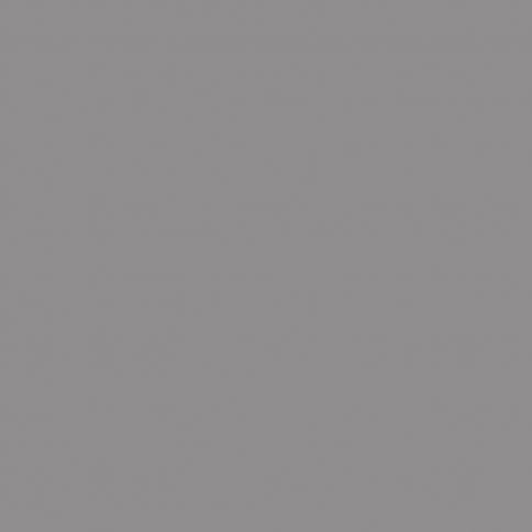 Chipboard FENIX NTM 0725 Ephesus Grey / 0739 Arpa (1 grade) 4200x1230x40mm