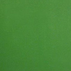 Acrylic sheet Staron Solid SG065 Green Tea 3680х760х12